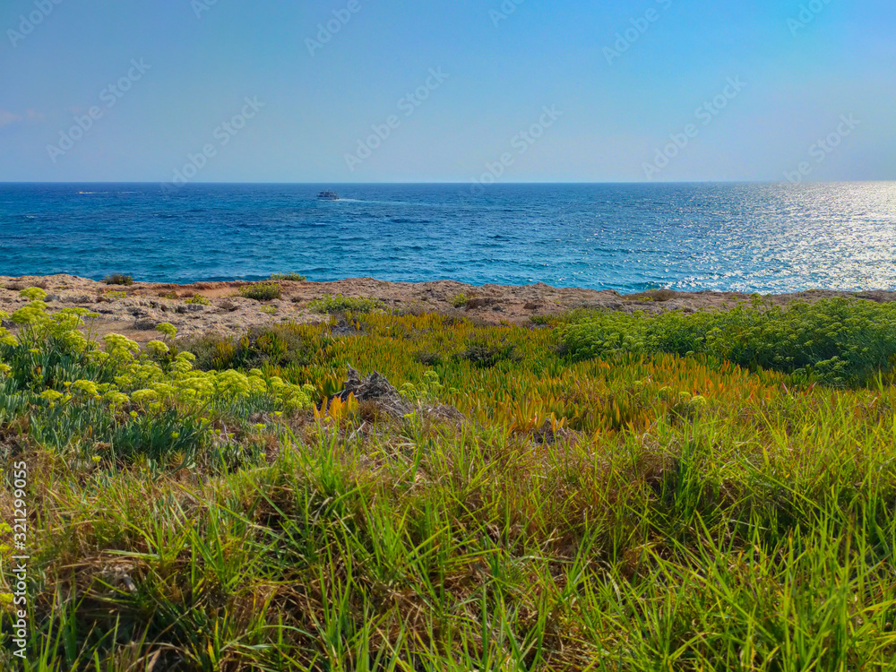 Beautiful meadow near Mediterranean sea in Cyprus