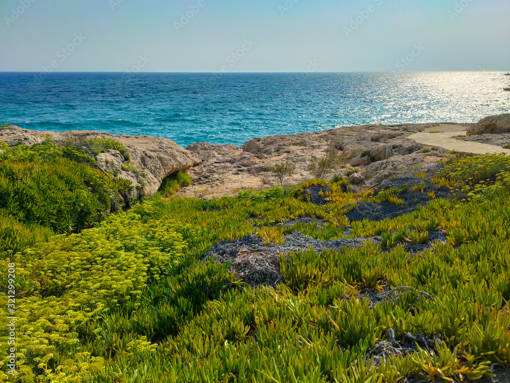 Beautiful meadow near Mediterranean sea in Cyprus