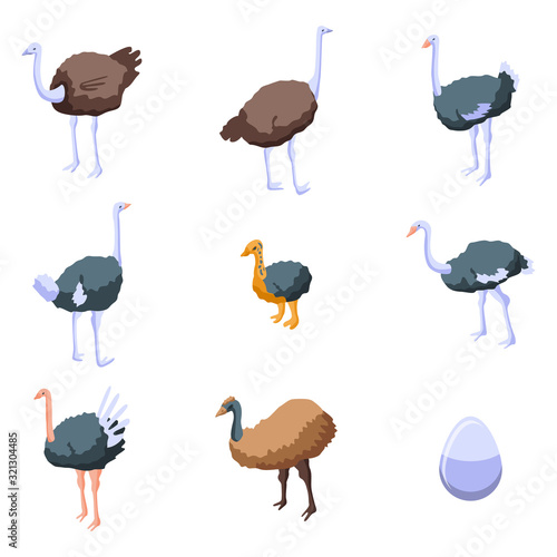 Ostrich icons set. Isometric set of ostrich vector icons for web design isolated on white background