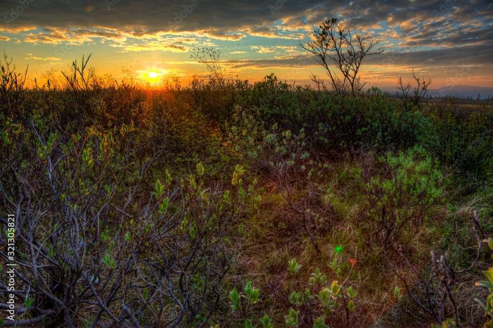 Obraz premium sunset over field