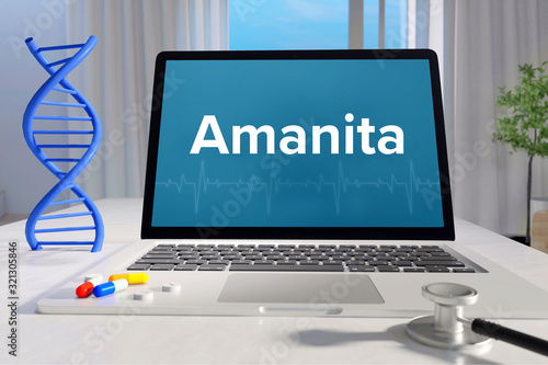 Amanita – Medizin/Gesundheit. Computer im Büro mit Begriff auf dem Bildschirm. Arzt/Gesundheitswesen