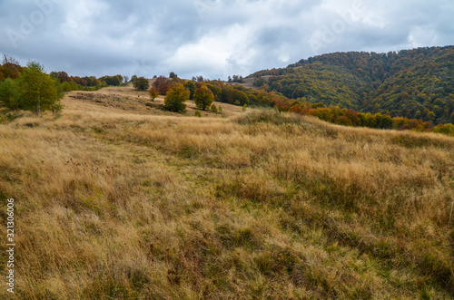 Views of the mountains and wood. The mountain slope overlooking the beautiful Carpathian mountains autumn landscape  Transcarpathia  Ukraine