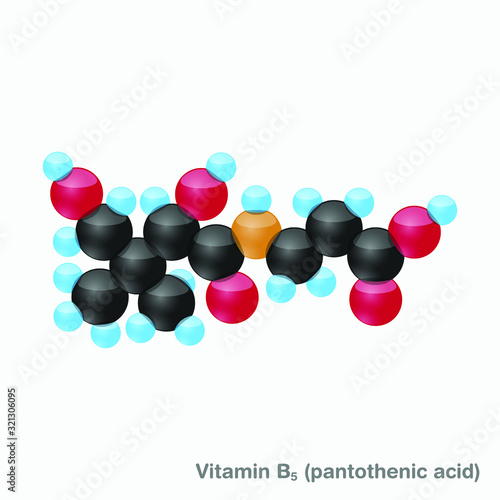The molecule of vitamin B5 (pantothenic acid). Vector illustration in 3d style, isolated on white background.