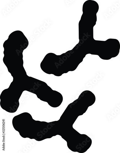 bifidobacterium icon, vector