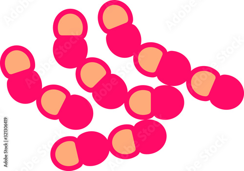 lactococcus icon, vector