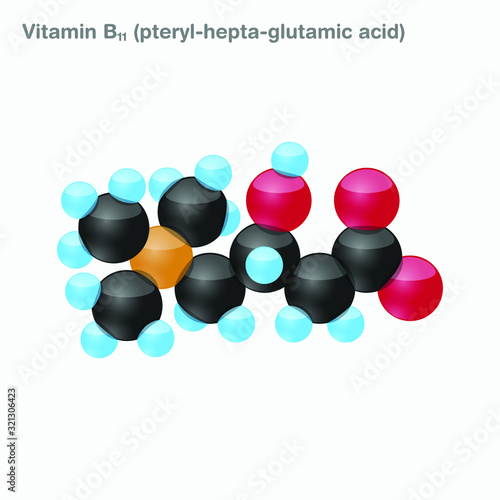 The molecule of vitamin B11  pteryl-hepta-glutamic acid . Vector illustration in 3d style  isolated on white background.