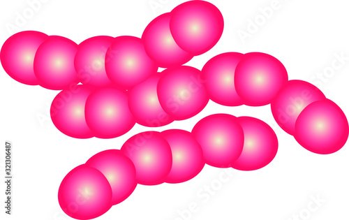 lactococcus icon, vector