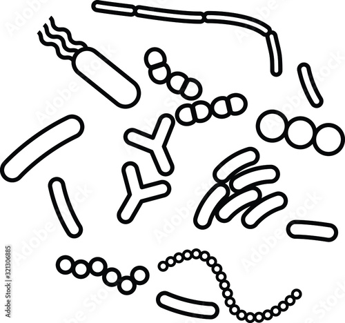 Probiotics icon, vector