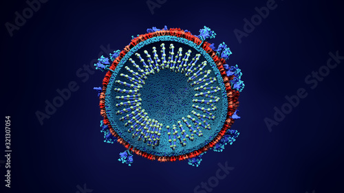 Картината върху платно Inside look Virus, Coronavirus, respiratory virus, SARS, MERS Here the virus is