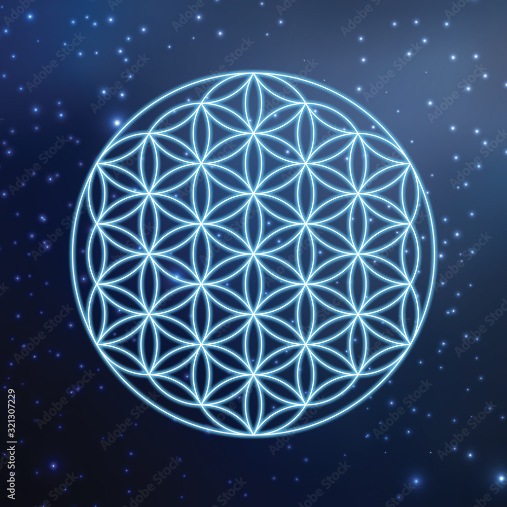  Adobe Stock Bildidee 