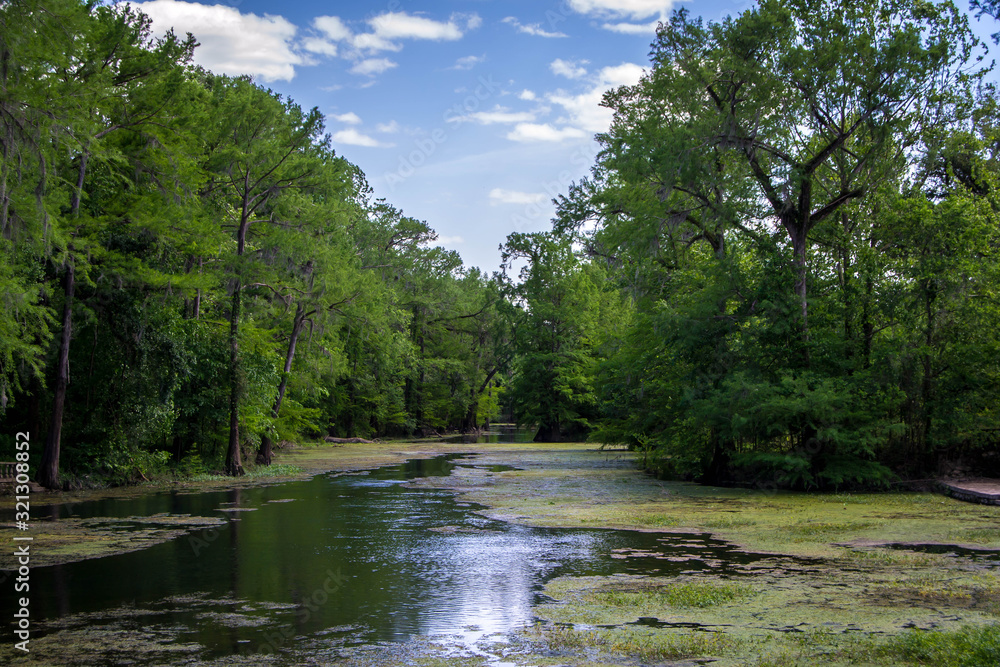 Vibrant river with green trees