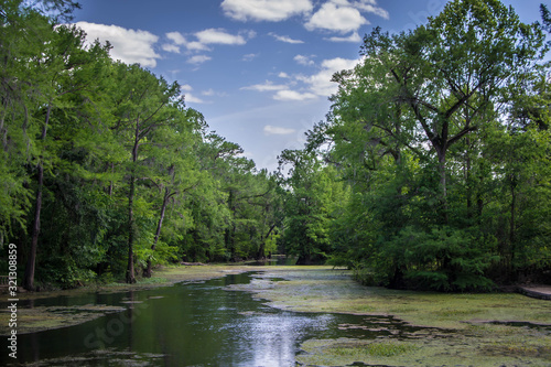 Vibrant river with green trees