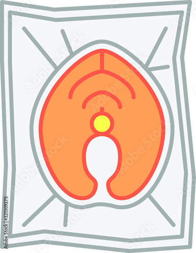 Food vacuum bag icon
