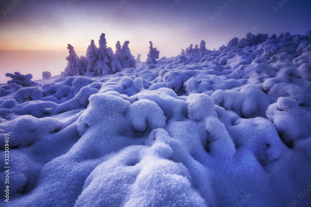 Obraz premium Winter in Jeseniky Mountains in Czech Republic. A huge amounts of snow in photography.