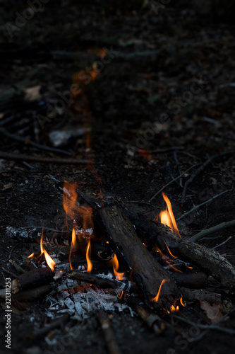 Woodland Bonfire