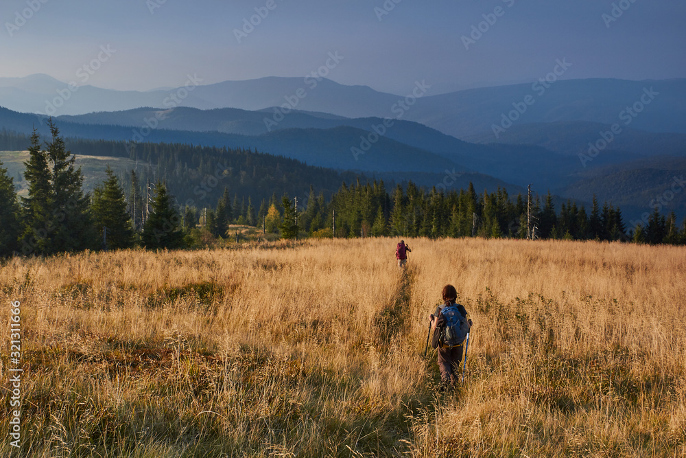 Hiker is walking along the trail through tall grass in the mountains. View on the wooded hills and hazy peaks in the distance at sunset. Concept traveling and adventuring. Hiker is walking along the trail through tall grass in the mountains. View on the wooded hills and hazy peaks in the distance at sunset. Concept traveling and adventuring.
