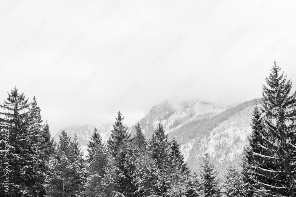 Obraz premium German Alps in Black And White