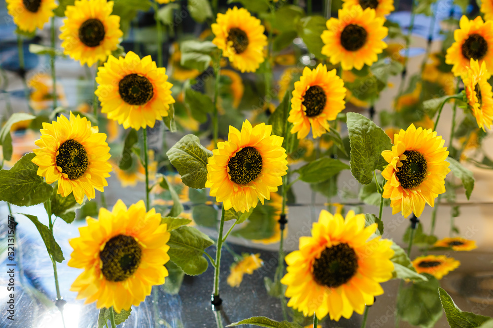 Abstract background with sunflowers over field and sunlight Abstract background with sunflowers over field and sunlight