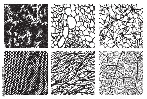 Set of seamless nature print pattern black and white