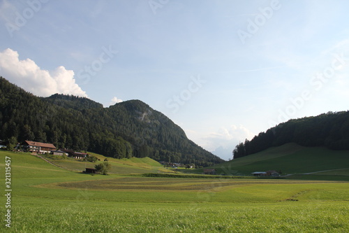 green meadow in mountains