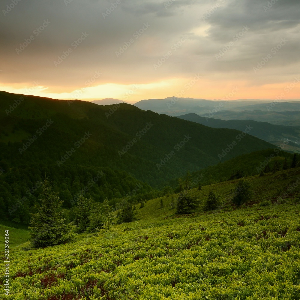 gorgeous summer dawn landscape, spectacular morning colorful image, mountains hill covered forest on background dramatic sky and sunrise, amazing nature scenery, Ukraine, Europe