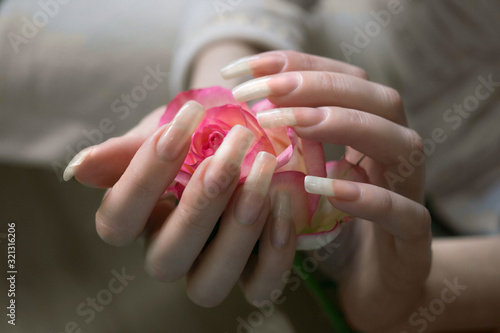 Woman hands with very long natural nails touching rose flower