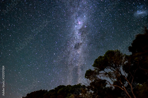 Starry sky with milky way above shape of trees in Abel Tasman National Park, New Zealand