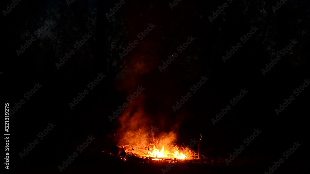Bonfire Bonfire