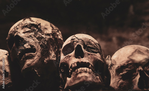 Skulls. Group of mummified skulls inside an ancient crypt
