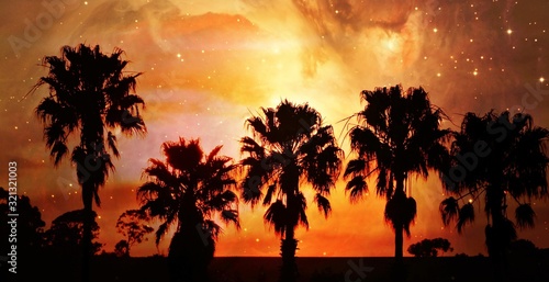 Fototapeta Naklejka Na Ścianę i Meble -  Landscape with palm trees and evening sky at sunset