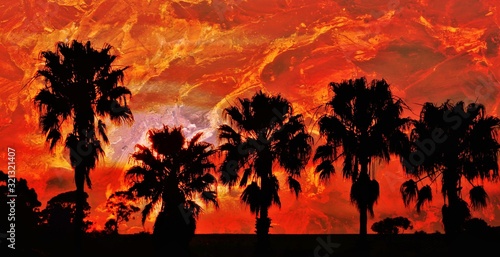 Landscape with palm trees and evening sky at sunset