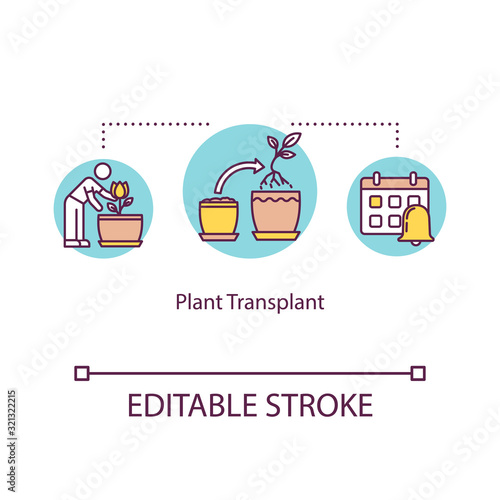 Plant transplant concept icon. Replanting flowers. Transplanting. Moving houseplants. Timely repotting idea thin line illustration. Vector isolated outline RGB color drawing. Editable stroke