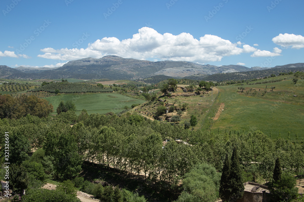 Typical Andalusian landscape near Ronda town in May