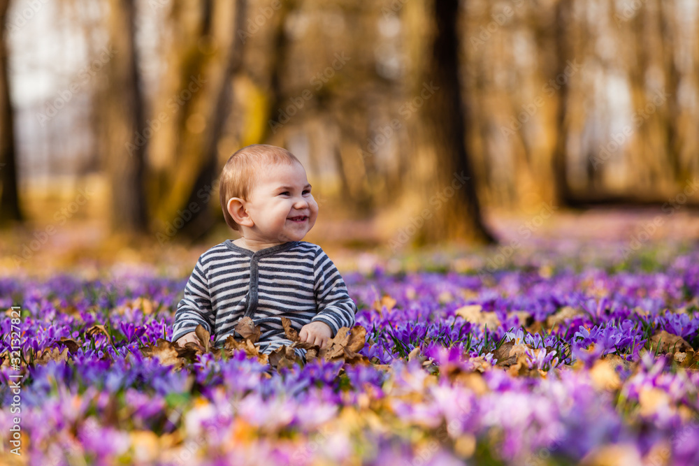 Little boy in spring park with purple saffron flowers Little boy in spring park with purple saffron flowers