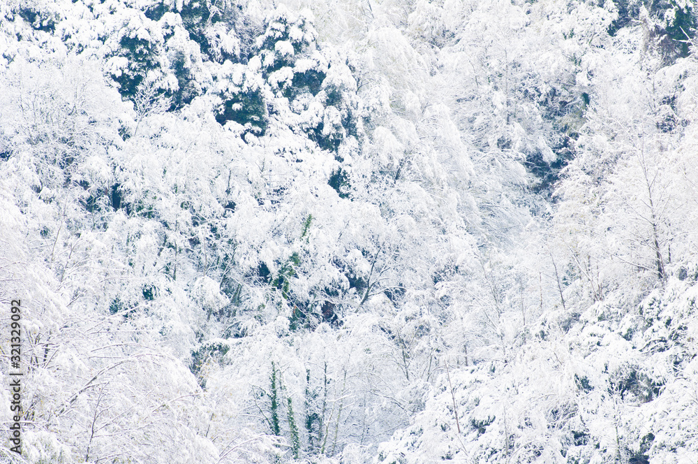 © jon11 - Winter landscape in apuan alps near seravezza, the souther part of the famous mountain range where michelangelo extracted the marble for his masterpieces.