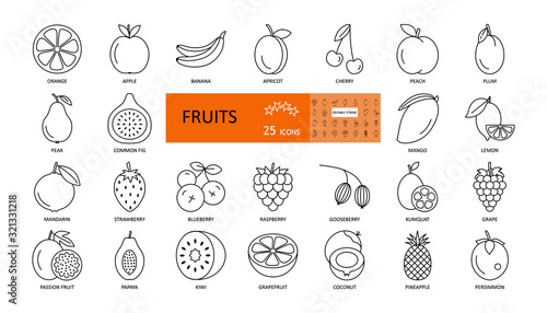 Fruit and berry. Vector thin icons with editable stroke. Sweet fruits of apple, orange, apricot, peach, kiwi, papaya, strawberry, grape, mango, persimmon mandarin and others. Flat illustration.