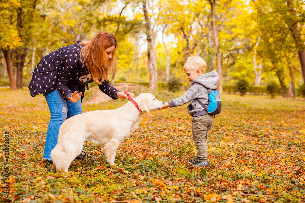 Mother and son training gold retriever at autumn forest Mother and son training gold retriever at autumn forest