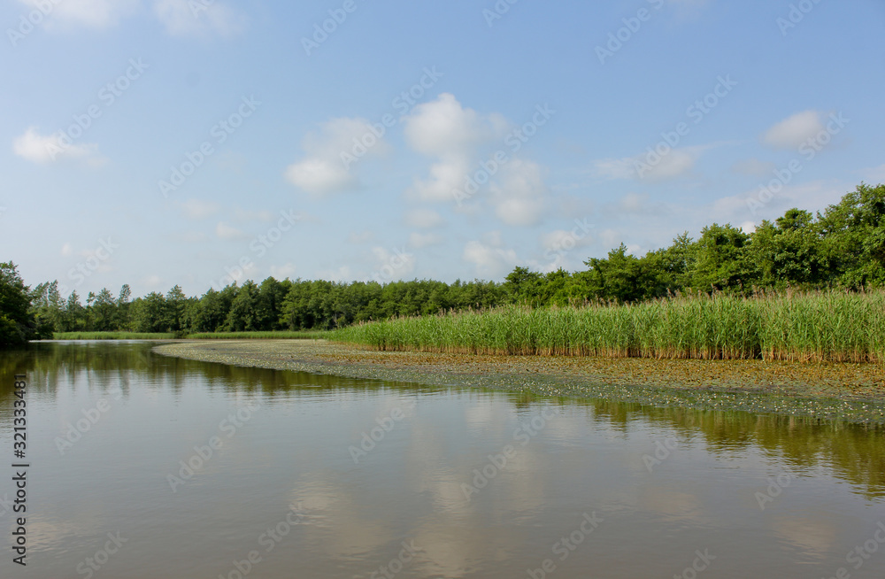 Panorama, wild view of Churia river in the swamps of Kolkheti National Park. A lot of reeds. Summer, green landscape Georgia country. View from canoe.
