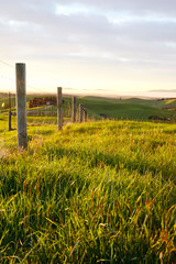Leinwandbilder Honigfarbe rural landscape with wooden fence and wheat field  © Danielle