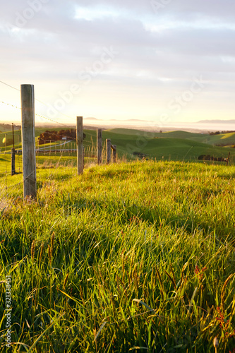 rural landscape with wooden fence and wheat field