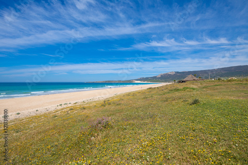 landscape of Bolonia Beach from a grass meadow with flowers  in Tarifa  Cadiz  Andalusia  Spain 