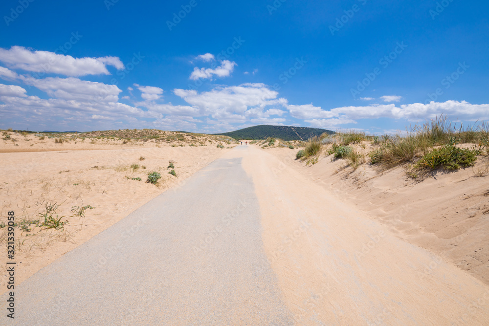 asphalt straight road with sand lonely in Trafalgar Cape, near Canos Meca village (Barbate, Cadiz, Andalusia, Spain)