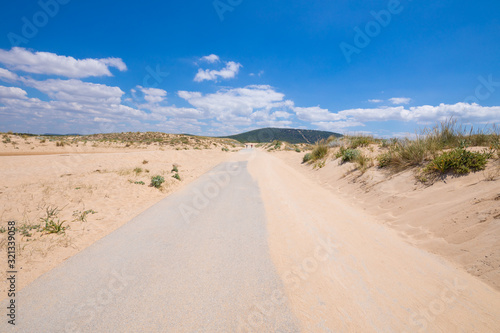 asphalt straight road with sand lonely in Trafalgar Cape  near Canos Meca village  Barbate  Cadiz  Andalusia  Spain 