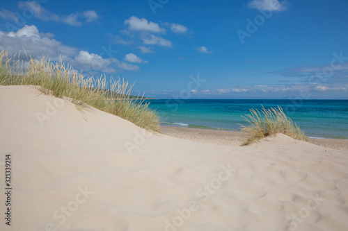 beautiful landscape of sand dunes with plants in wild natural Beach Bolonia in Tarifa, Cadiz, Andalusia, Spain. Horizon, blue sky and clouds