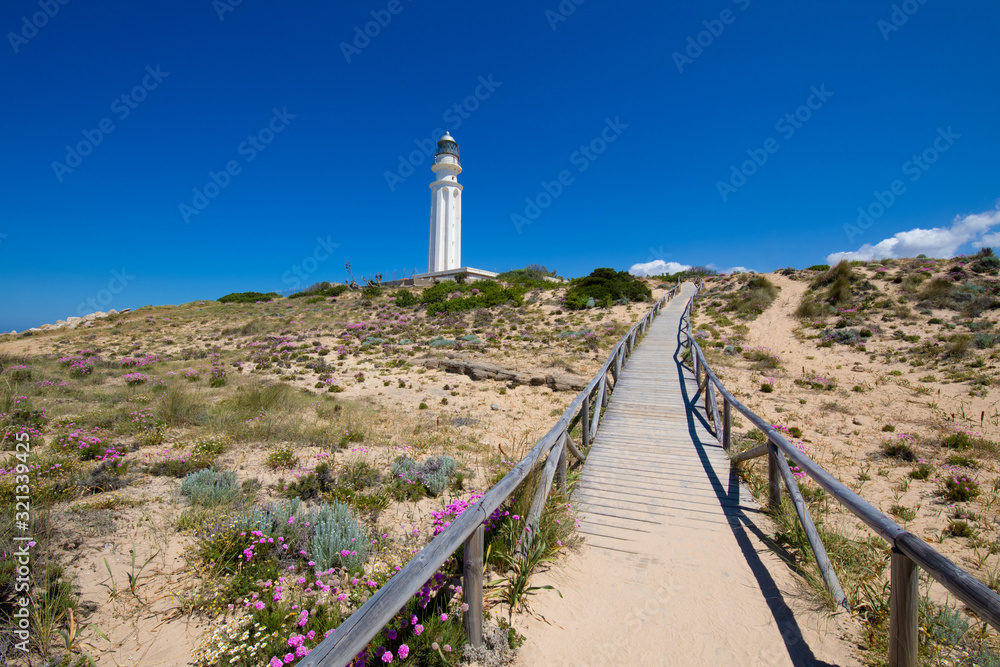 wooden footpath in nature to the lighthouse of Cape Trafalgar, in Canos Meca village (Barbate, Cadiz, Andalusia, Spain), blue sky