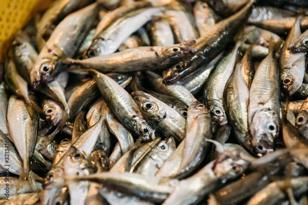 Fresh Fish On Display On Ice On Fishermen Market Store Shop. Seafood Fish Background. European Anchovy Fresh Fish On Display On Ice On Fishermen Market Store Shop. Seafood Fish Background. European Anchovy