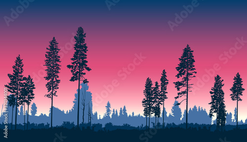 Image  landscape. Seamless woodland. Silhouette of coniferous trees. Blue and pink tones.