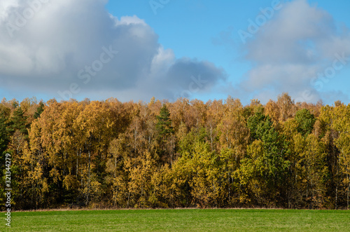 beautiful autumn landscape. Calm sunny warm day. Fluffy Clouds gently spread over above colorful forest and field.