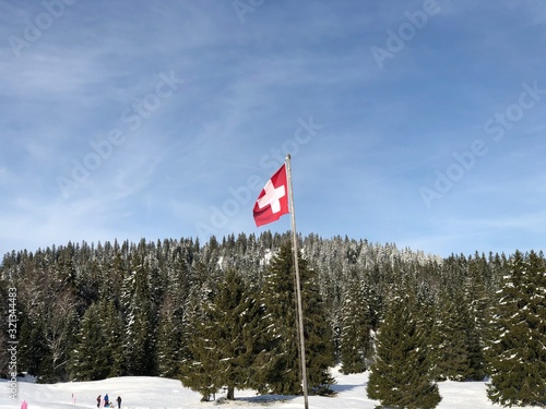 flag in snow