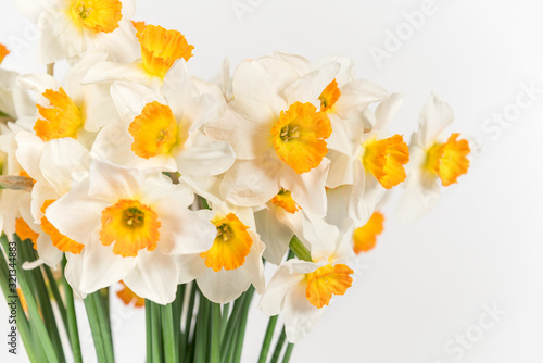 Wallpaper Mural bunch of daffodils Torontodigital.ca